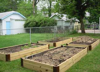Urban Homesteading: Settling In Image